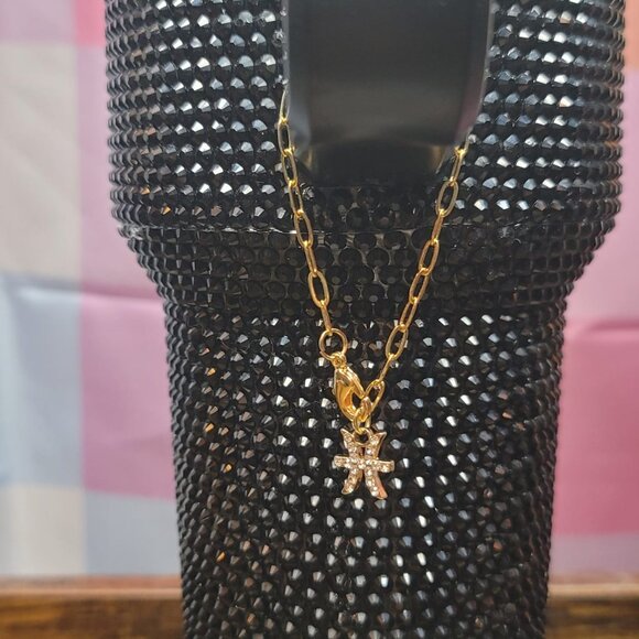 Pisces Zodiac Tumbler Charm - Picture 4 of 5